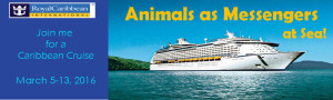 cruise banner aam-at-sea-header-2016